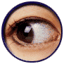 Oeil.gif (13855 octets)