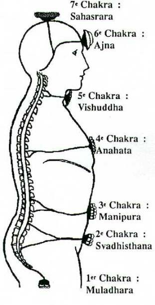 Chakras 2.JPG (29701 octets)