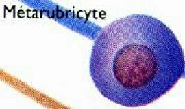 Phase4.JPG (5761 multiplets)