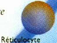 Phase5.JPG (3559 multiplets)