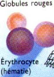 Phase6.JPG (5996 multiplets)