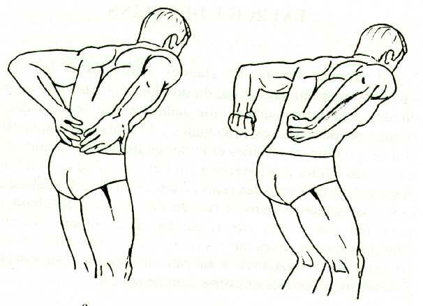 Reins.JPG (25654 bytes)