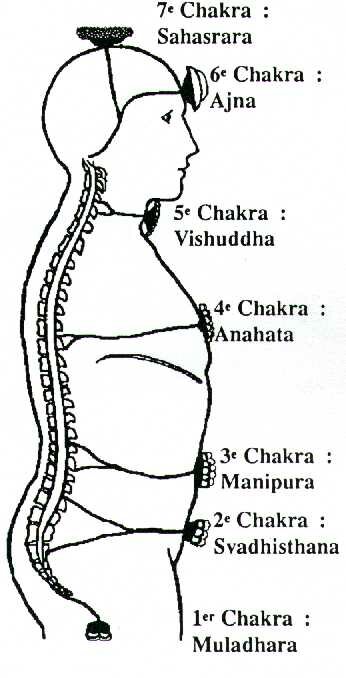 Chakras 2.JPG (29701 octets)