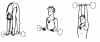 Directional 1.JPG (34043 bytes)