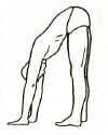 Directional 3.JPG (8715 bytes)