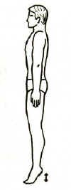 Directional 5.JPG (7172 bytes)