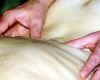 Dos.JPG massage (11731 bytes)