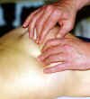 Fesses.JPG massage (13051 bytes)