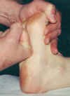 Pieds.JPG pressure (20856 bytes)
