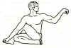 Singe.JPG (13570 bytes)