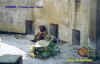 Fosse aux Ours.JPG (45540 octets)