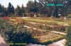 Jardin.JPG (70326 octets)